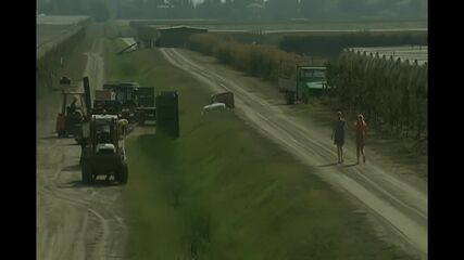 淫らな令嬢の秘密