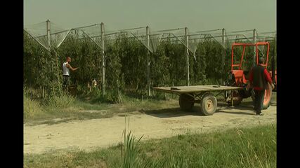 淫らな令嬢の秘密